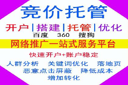 百度搜索推广案例集锦：实战技巧分享
